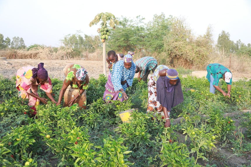 Fanta Bocoum en andere vrouwelijke boeren in Mali
