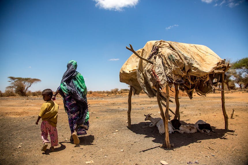 Somalische vrouw met kind aan de hand in door droogte getroffen gebied