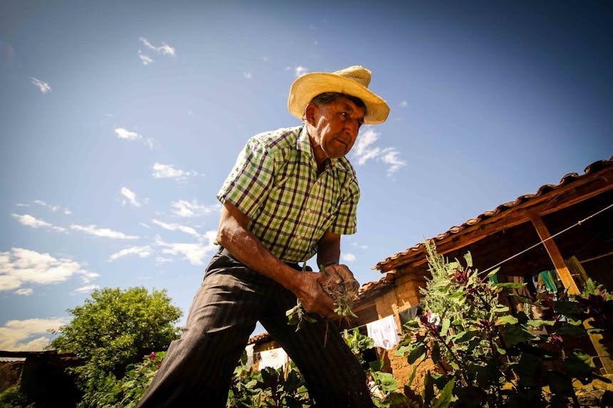Peruaanse man aan het werk op zijn land