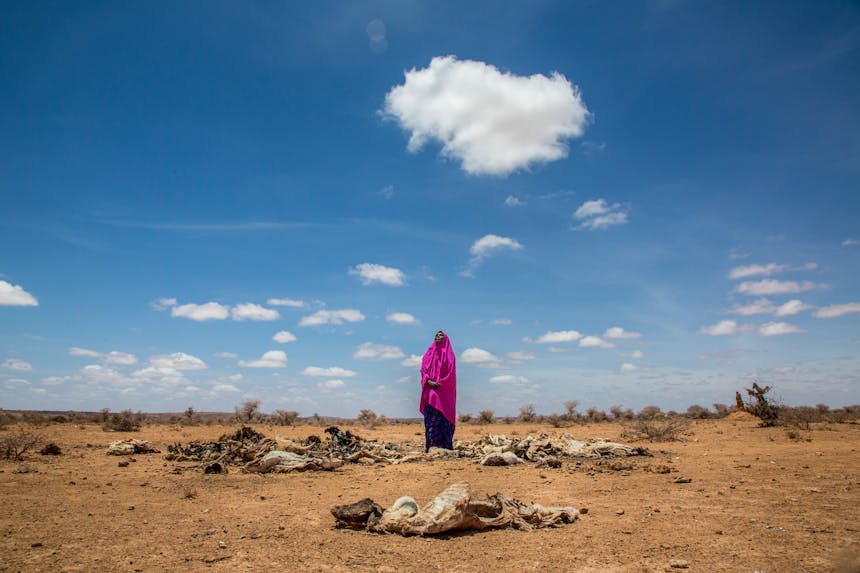 Amina Suleiman Gas van 45 jaar op een droog land tussen de karkassen